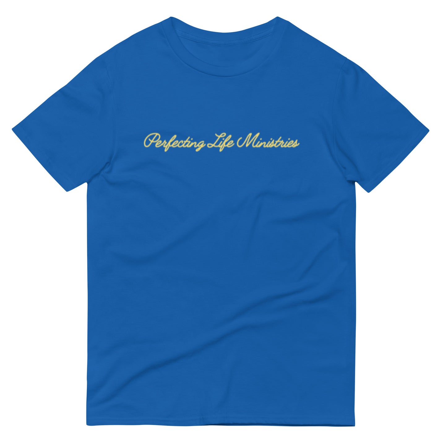 Perfecting Life Ministries Tee