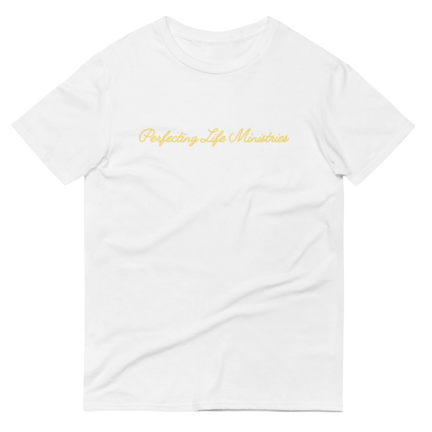 Perfecting Life Ministries Tee